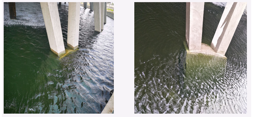 1607752396119860.png image.png